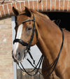 Premier Equine Luigi Plain Leather Reins by Premier Equine at  Try a Bit