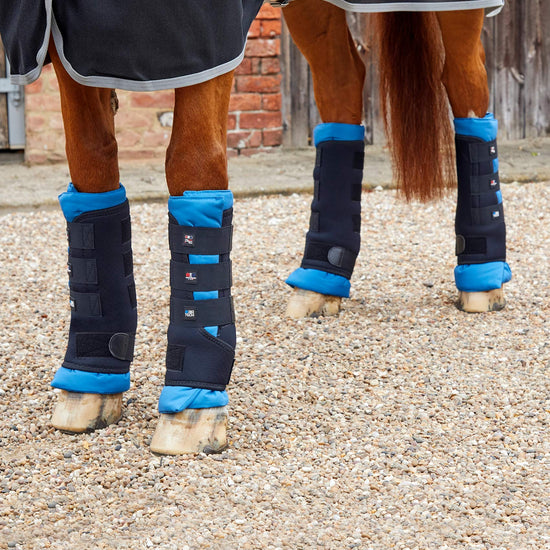 Premier Equine Magni-Teque Magnetic Boot Wraps Inc. Liners by Premier Equine at  Try a Bit