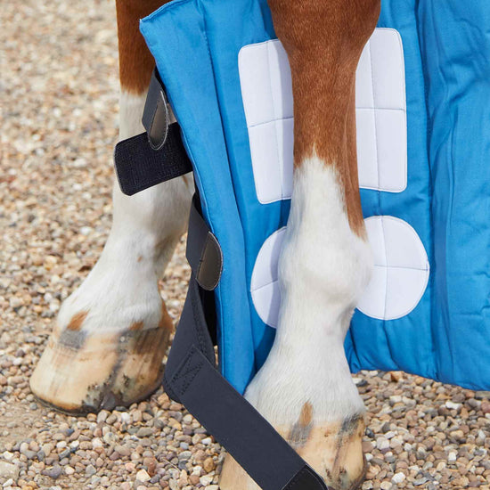 Premier Equine Magni-Teque Magnetic Boot Wraps Inc. Liners by Premier Equine at  Try a Bit