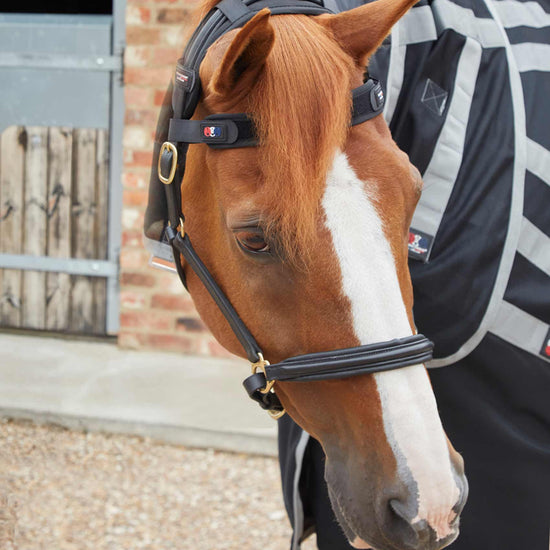 Premier Equine Magni-Teque Magnetic Browband by Premier Equine at  Try a Bit