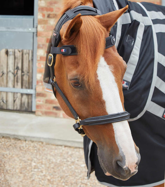 Premier Equine Magni-Teque Magnetic Browband by Premier Equine at  Try a Bit