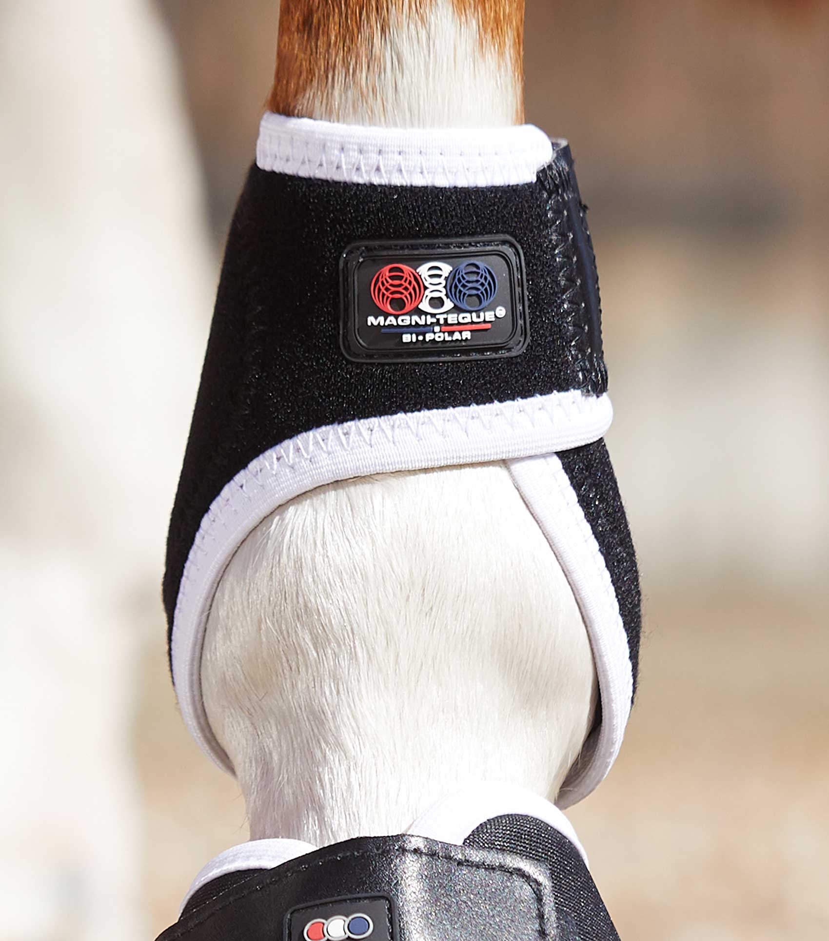 Premier Equine Magni-Teque Magnetic Fetlock Boots by Premier Equine at  Try a Bit