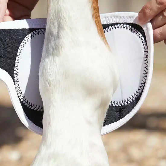 Premier Equine Magni-Teque Magnetic Fetlock Boots by Premier Equine at  Try a Bit