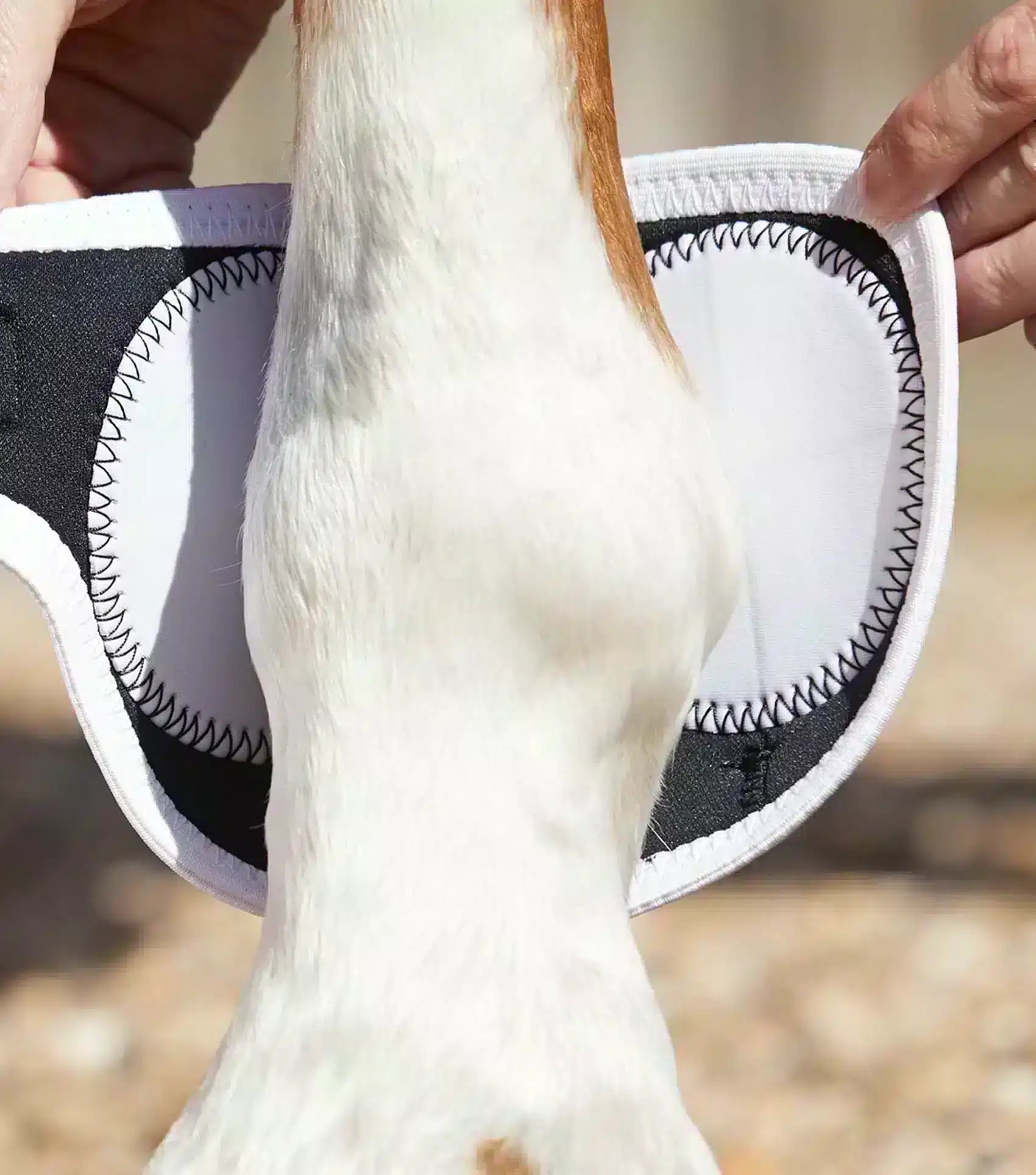 Premier Equine Magni-Teque Magnetic Fetlock Boots by Premier Equine at  Try a Bit