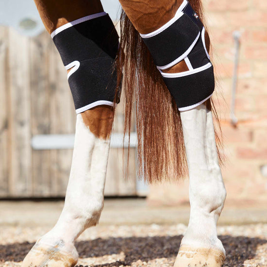 Premier Equine Magni-Teque Magnetic Hock Boots by Premier Equine at  Try a Bit