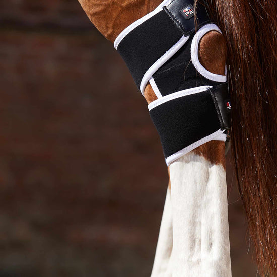 Premier Equine Magni-Teque Magnetic Hock Boots by Premier Equine at  Try a Bit
