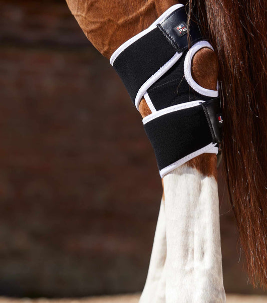 Premier Equine Magni-Teque Magnetic Hock Boots by Premier Equine at  Try a Bit