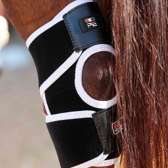 Premier Equine Magni-Teque Magnetic Hock Boots by Premier Equine at  Try a Bit