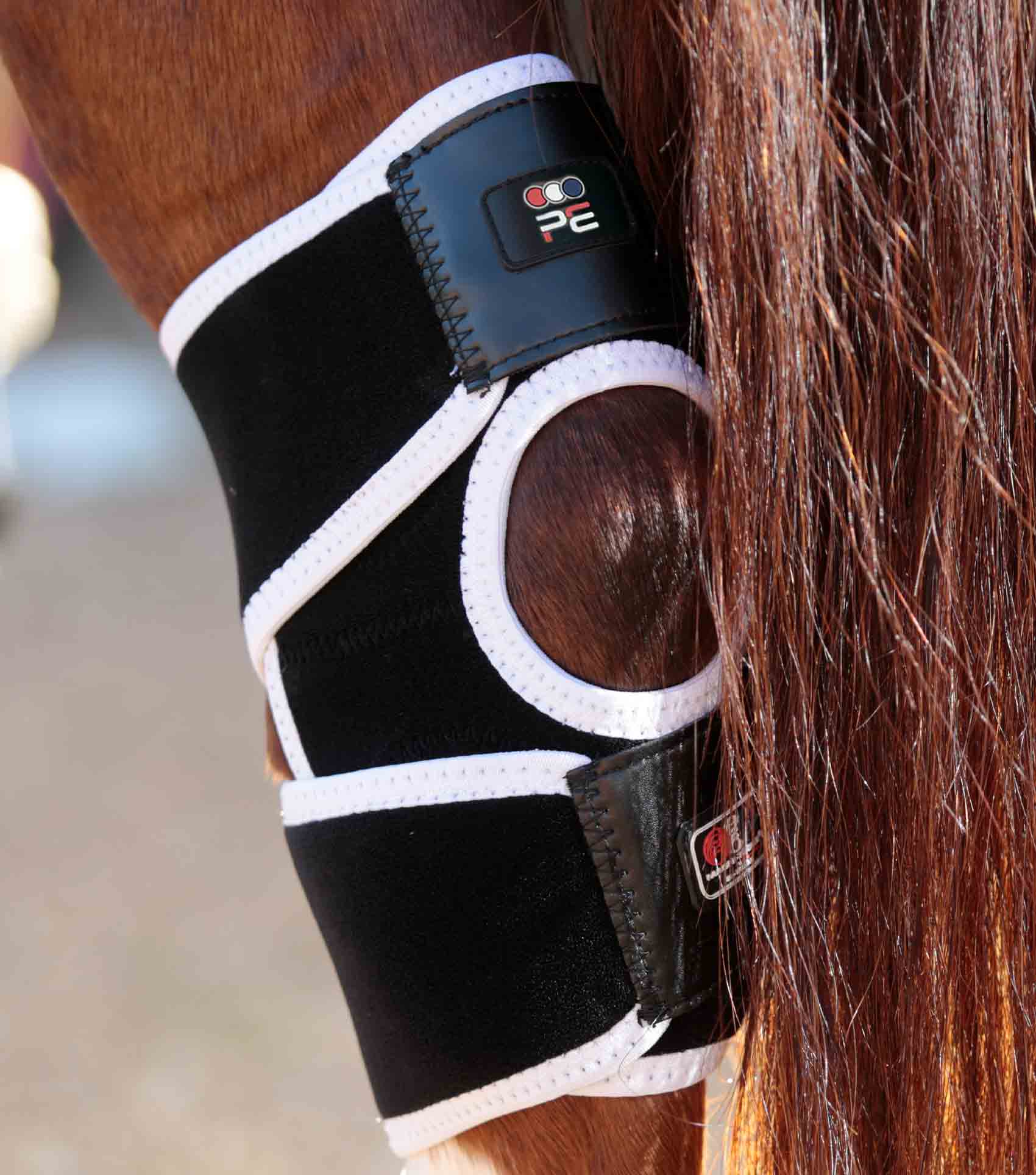 Premier Equine Magni-Teque Magnetic Hock Boots by Premier Equine at  Try a Bit