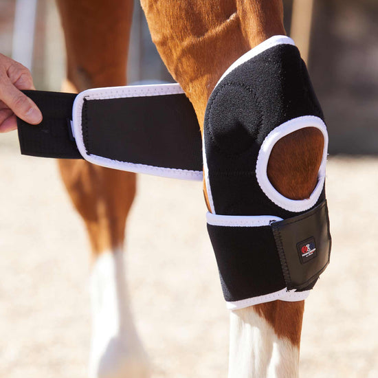 Premier Equine Magni-Teque Magnetic Hock Boots by Premier Equine at  Try a Bit