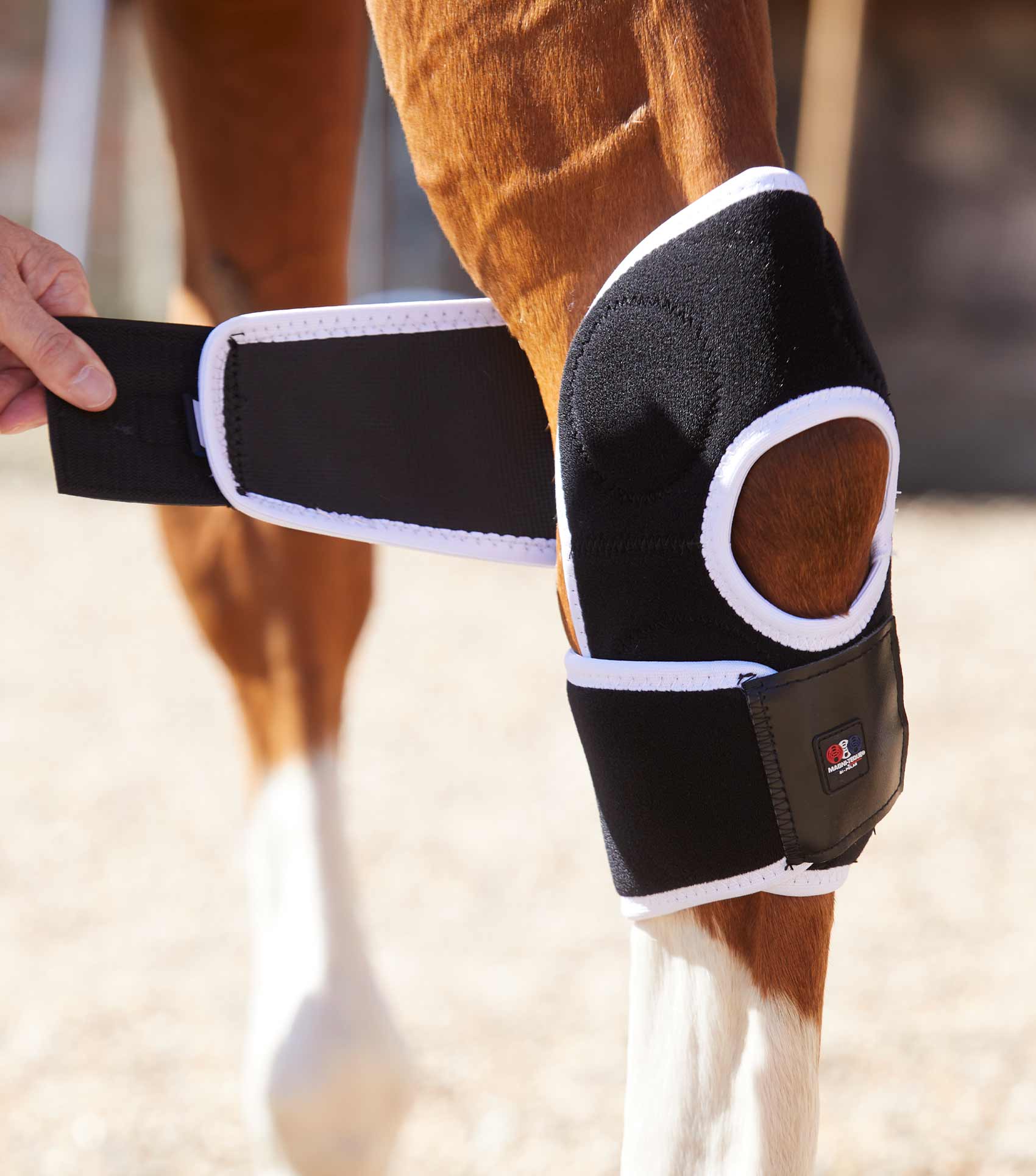 Premier Equine Magni-Teque Magnetic Hock Boots by Premier Equine at  Try a Bit