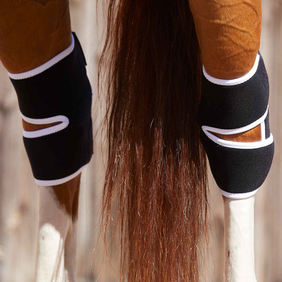 Premier Equine Magni-Teque Magnetic Hock Boots by Premier Equine at  Try a Bit