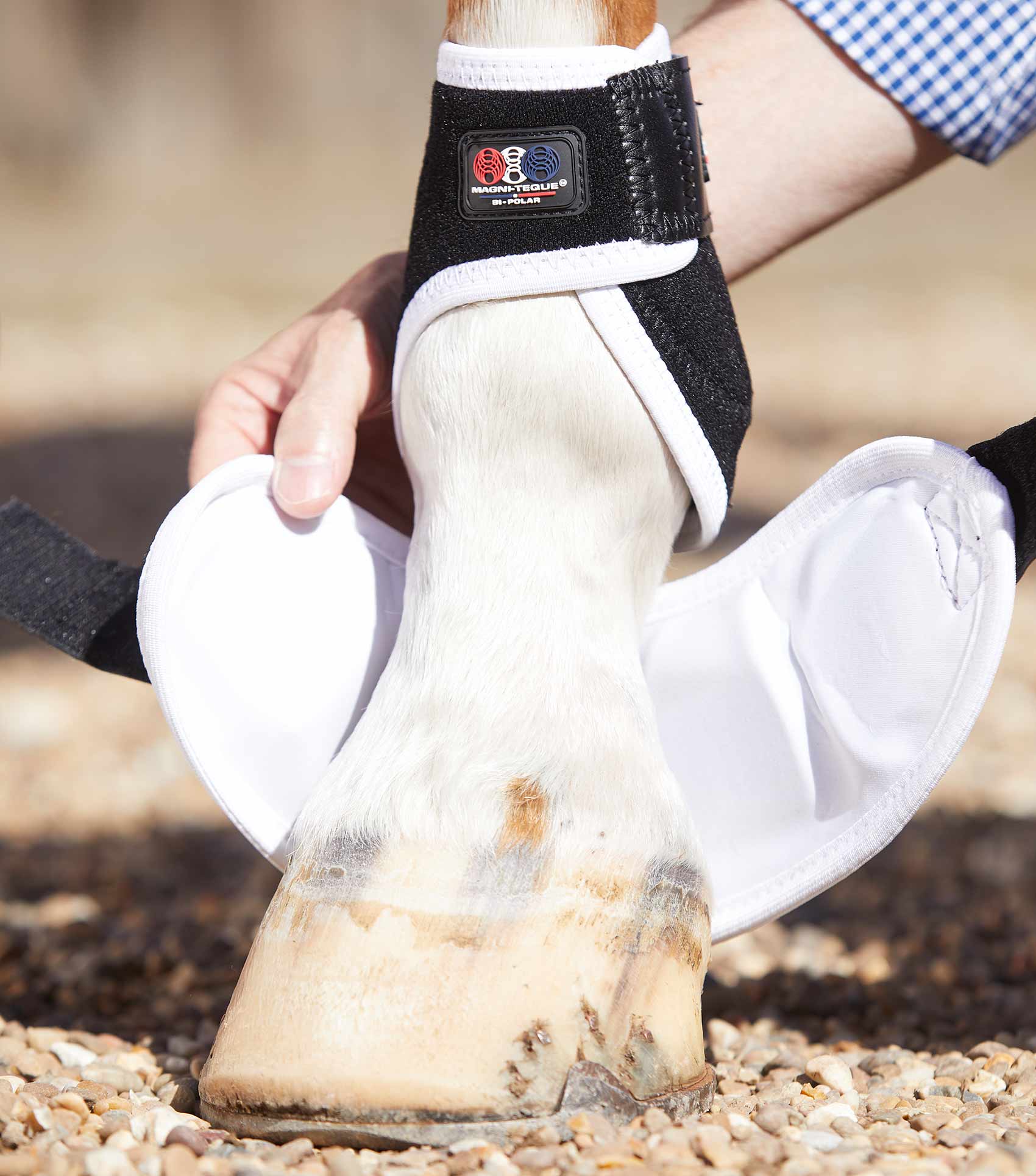Premier Equine Magni-Teque Magnetic Hoof Boots by Premier Equine at  Try a Bit