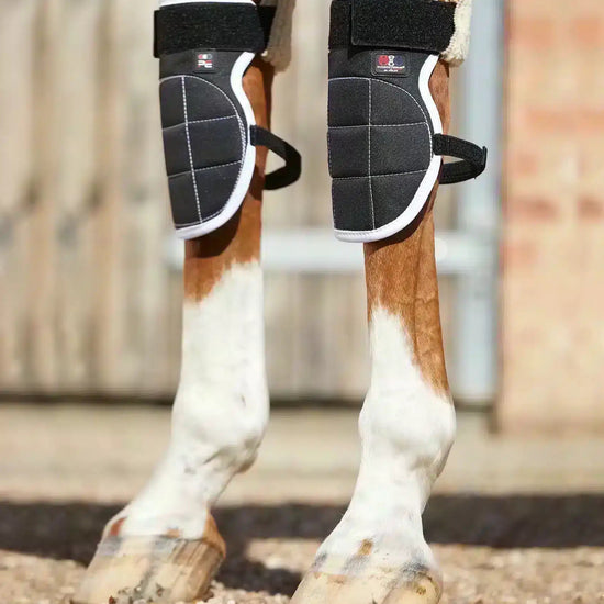 Premier Equine Magni-Teque Magnetic Horse Knee Boots by Premier Equine at  Try a Bit