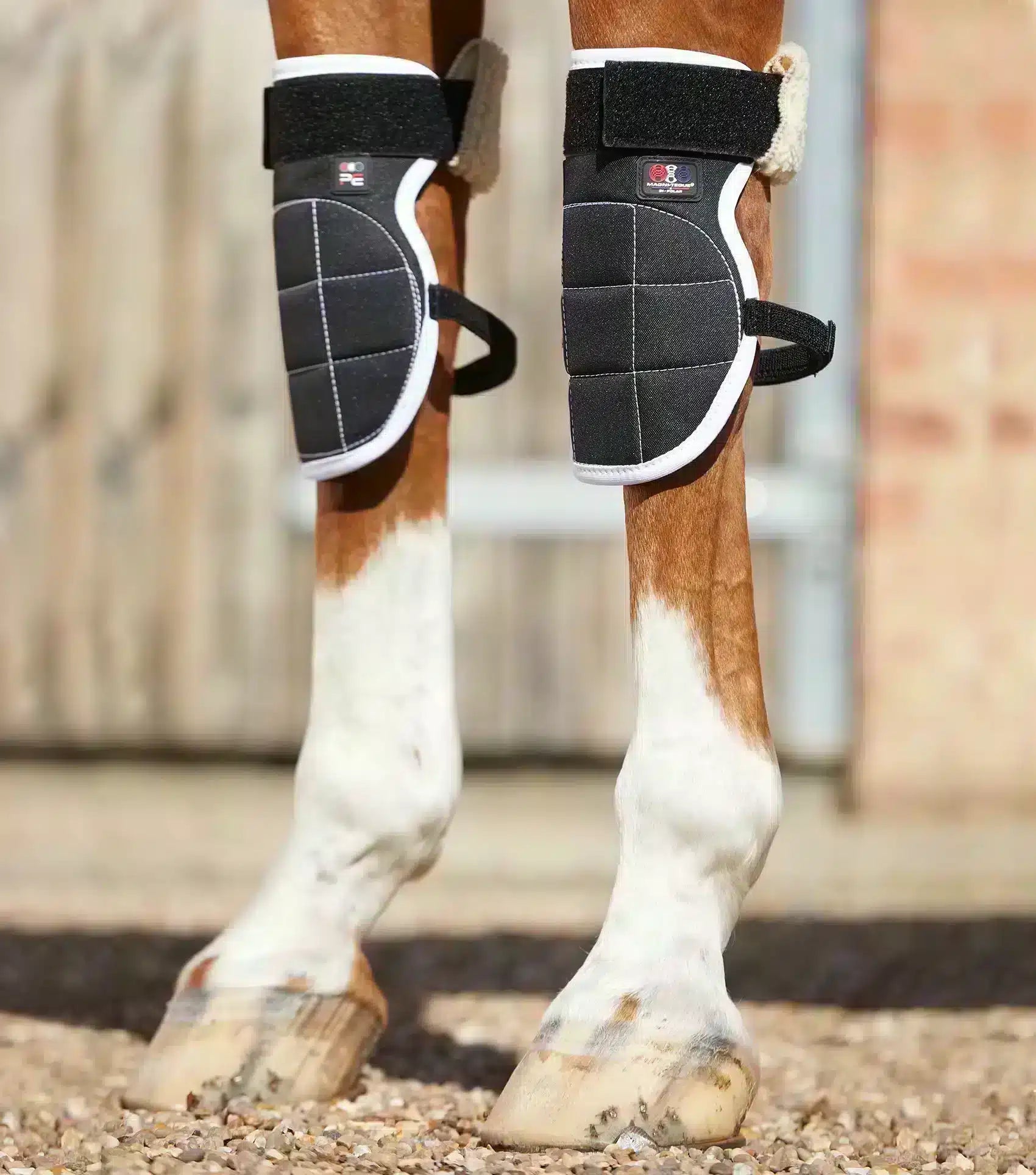 Premier Equine Magni-Teque Magnetic Horse Knee Boots by Premier Equine at  Try a Bit