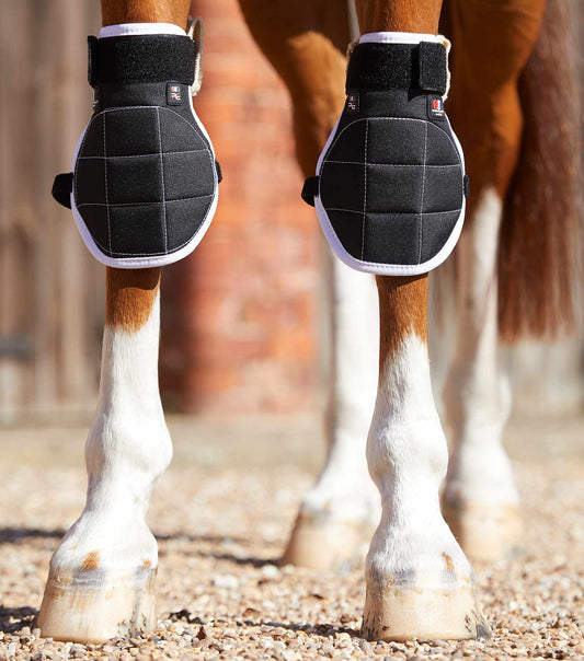 Premier Equine Magni-Teque Magnetic Horse Knee Boots by Premier Equine at  Try a Bit