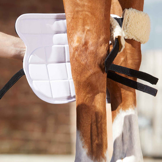 Premier Equine Magni-Teque Magnetic Horse Knee Boots by Premier Equine at  Try a Bit