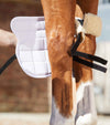 Premier Equine Magni-Teque Magnetic Horse Knee Boots by Premier Equine at  Try a Bit
