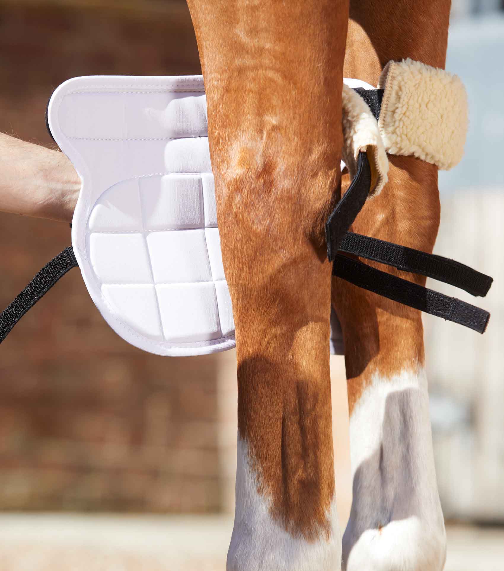 Premier Equine Magni-Teque Magnetic Horse Knee Boots by Premier Equine at  Try a Bit