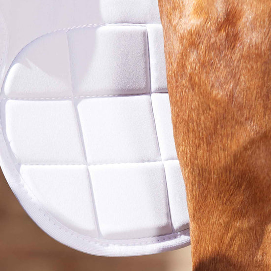 Premier Equine Magni-Teque Magnetic Horse Knee Boots by Premier Equine at  Try a Bit
