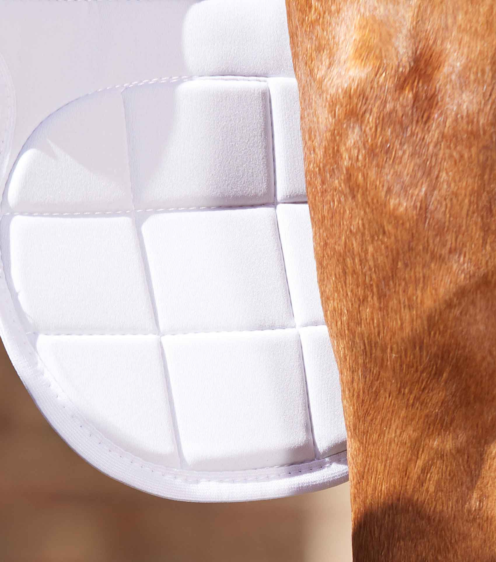 Premier Equine Magni-Teque Magnetic Horse Knee Boots by Premier Equine at  Try a Bit