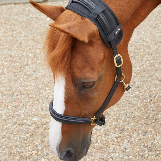 Premier Equine Magni-Teque Magnetic Poll Band by Premier Equine at  Try a Bit