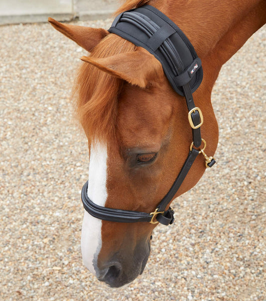 Premier Equine Magni-Teque Magnetic Poll Band by Premier Equine at  Try a Bit