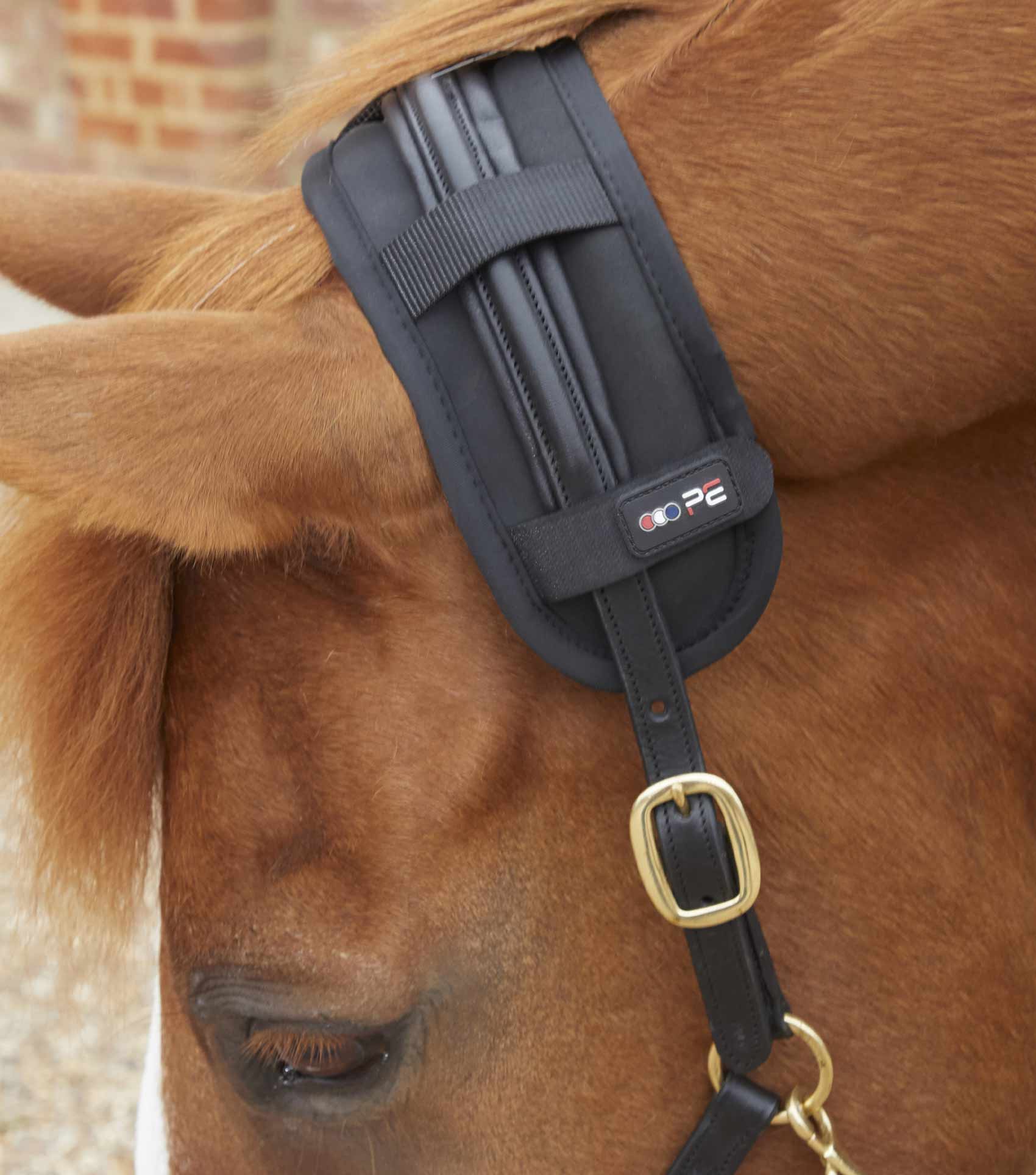 Premier Equine Magni-Teque Magnetic Poll Band by Premier Equine at  Try a Bit
