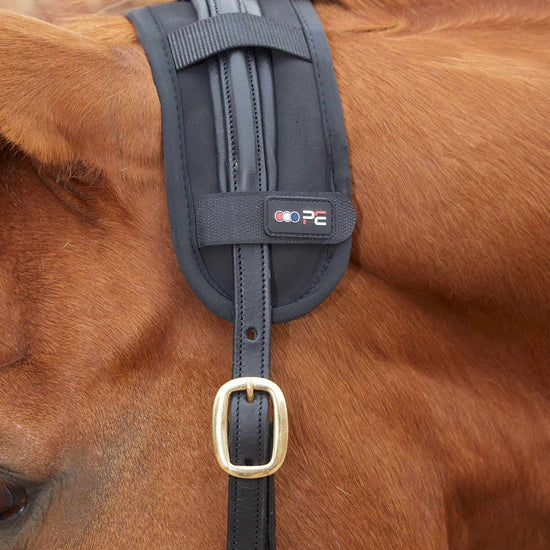Premier Equine Magni-Teque Magnetic Poll Band by Premier Equine at  Try a Bit