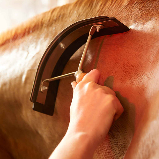 Premier Equine Metal Sweat Scraper with Wooden Handle by Premier Equine at  Try a Bit