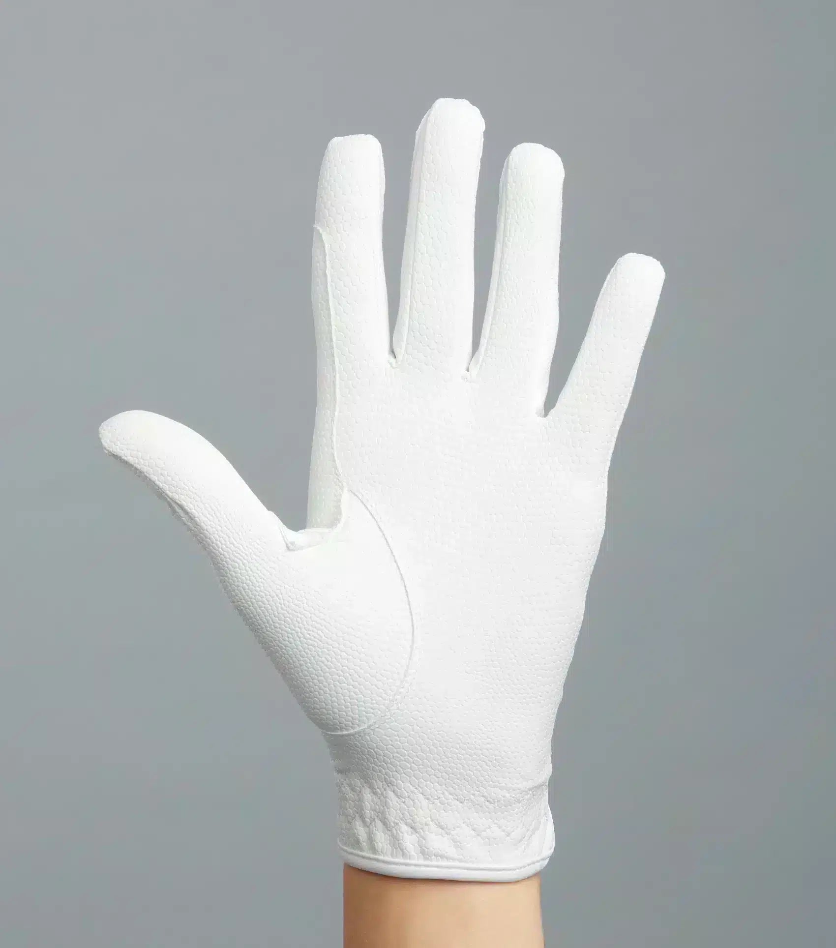 Premier Equine Metaro Ladies Competition Riding Gloves by Premier Equine at  Try a Bit