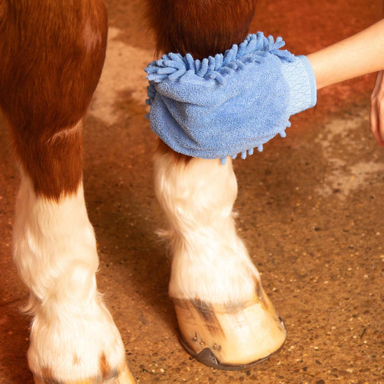 Premier Equine Microfibre Grooming Mitt by Premier Equine at  Try a Bit