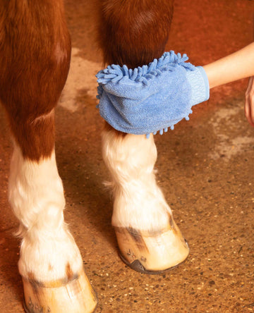 Premier Equine Microfibre Grooming Mitt by Premier Equine at  Try a Bit
