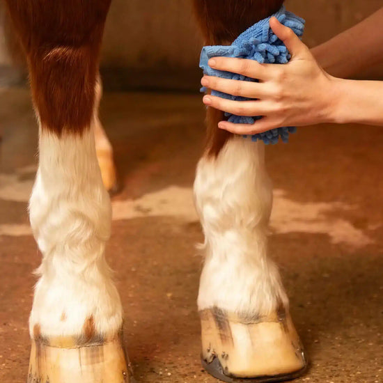 Premier Equine Microfibre Grooming Mitt by Premier Equine at  Try a Bit