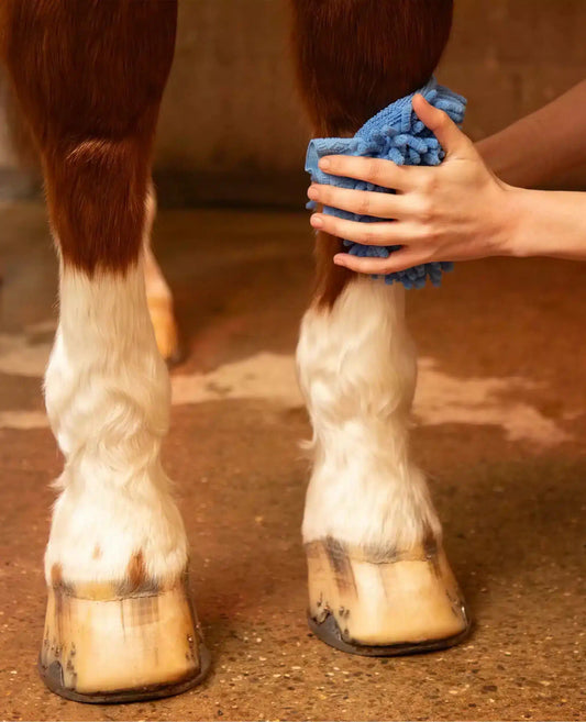 Premier Equine Microfibre Grooming Mitt by Premier Equine at  Try a Bit