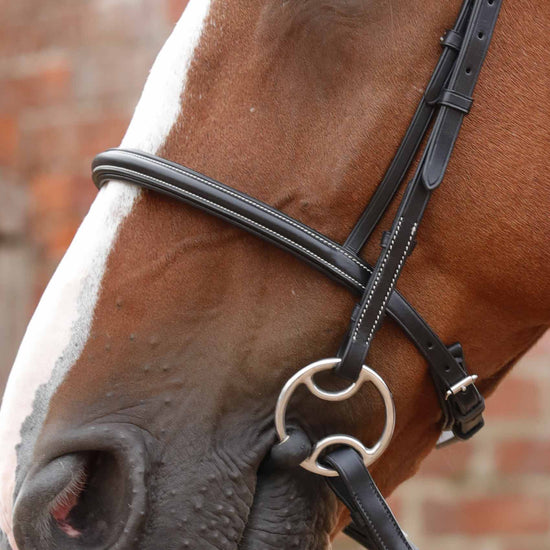 Premier Equine Mossimo Cavesson Bridle by Premier Equine at  Try a Bit