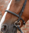 Premier Equine Mossimo Cavesson Bridle by Premier Equine at  Try a Bit