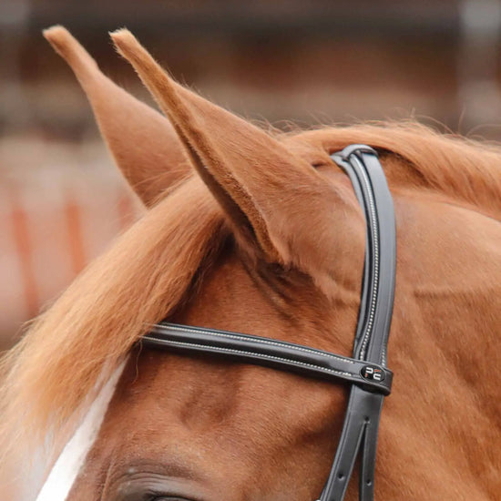Premier Equine Mossimo Cavesson Bridle by Premier Equine at  Try a Bit