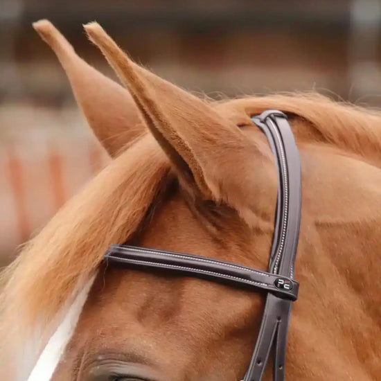 Premier Equine Mossimo Cavesson Bridle by Premier Equine at  Try a Bit