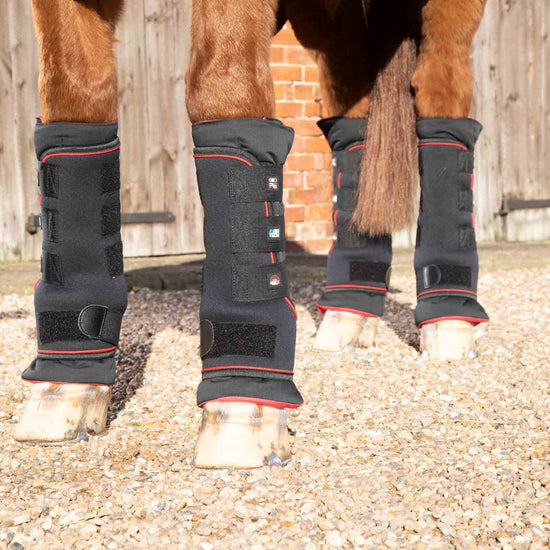 Premier Equine Nano-Tec Infrared Boot Wraps Inc. Liners by Premier Equine at  Try a Bit
