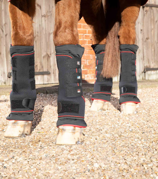Premier Equine Nano-Tec Infrared Boot Wraps Inc. Liners by Premier Equine at  Try a Bit