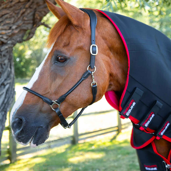 Premier Equine Nano-Tec Infrared Horse Rug by Premier Equine at  Try a Bit