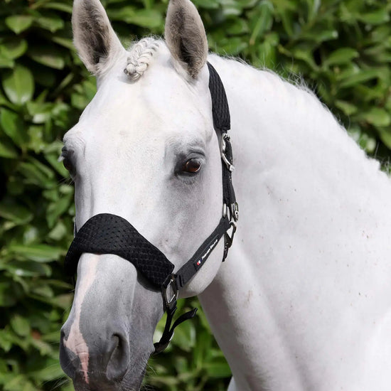 Necto 3D Mesh Head Collar with Lead Rope Grey by Premier Equine Int. at  Try A Bit