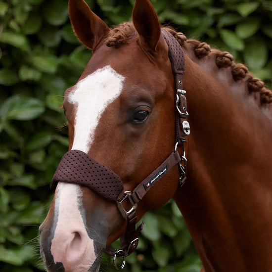 Necto 3D Mesh Head Collar with Lead Rope Grey by Premier Equine Int. at  Try A Bit