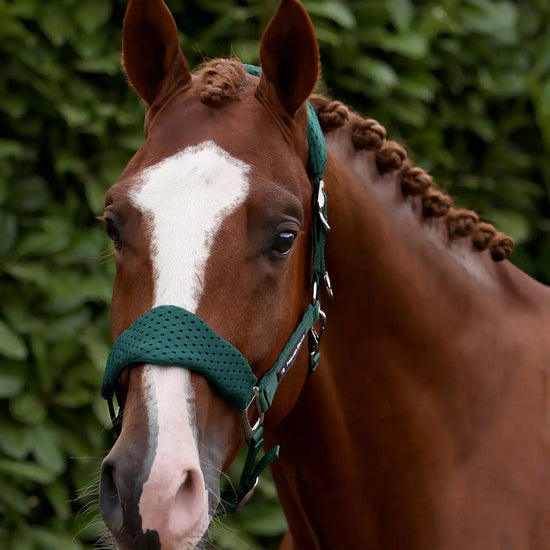 Necto 3D Mesh Head Collar with Lead Rope Grey by Premier Equine Int. at  Try A Bit