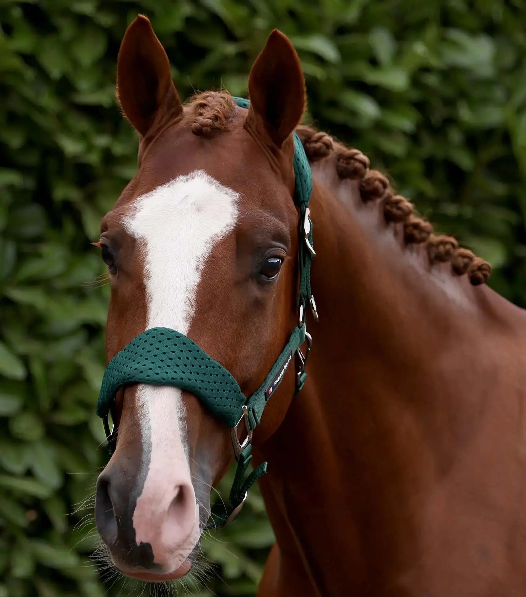 Necto 3D Mesh Head Collar with Lead Rope Grey by Premier Equine Int. at  Try A Bit