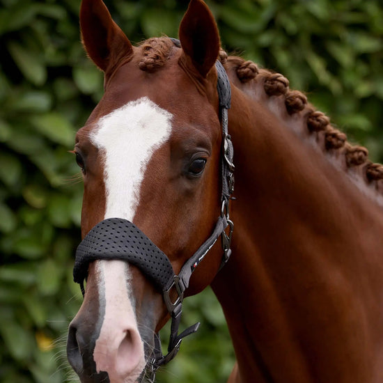 Necto 3D Mesh Head Collar with Lead Rope Grey by Premier Equine Int. at  Try A Bit