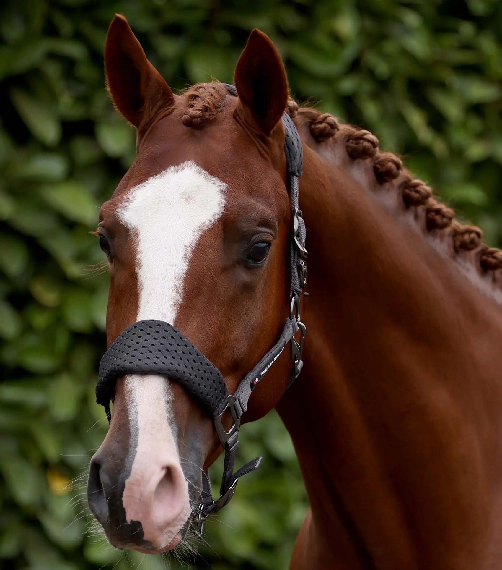 Necto 3D Mesh Head Collar with Lead Rope Grey by Premier Equine Int. at  Try A Bit