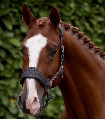 Necto 3D Mesh Head Collar with Lead Rope Grey by Premier Equine Int. at  Try A Bit