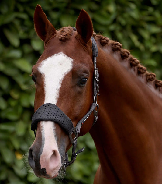 Necto 3D Mesh Head Collar with Lead Rope Grey by Premier Equine Int. at  Try A Bit